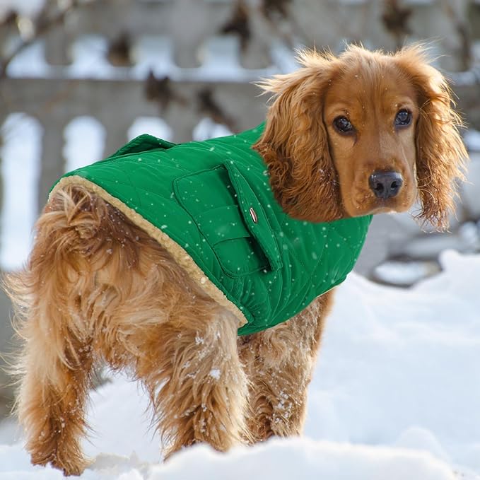 Queenmore Warm Dog Coat, Cold Weather Puffer Dog Coat Vest, Quilting Winter Pet Jacket Ultra Thick Plush Fleece Lining Pet Clothes for Dogs with Storage Pockets (Forest Green,Large)