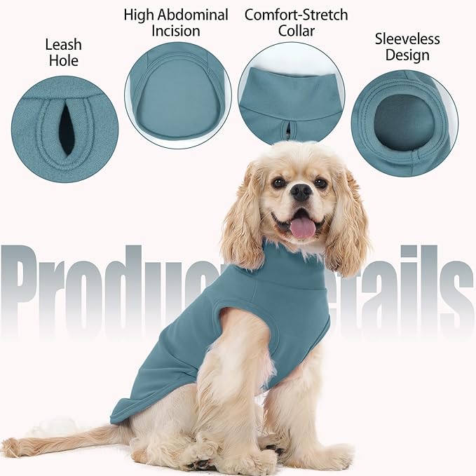 2 Pack Small Dog Sweaters, Warm Stripe Pullover Stretch Fleece Sweater, Winter Fall Pets Coats Sweatshirt, Soft Pet Fleece Vest Pajamas Turtleneck for Dogs, Dachshund, Boston Terrier, Blue S