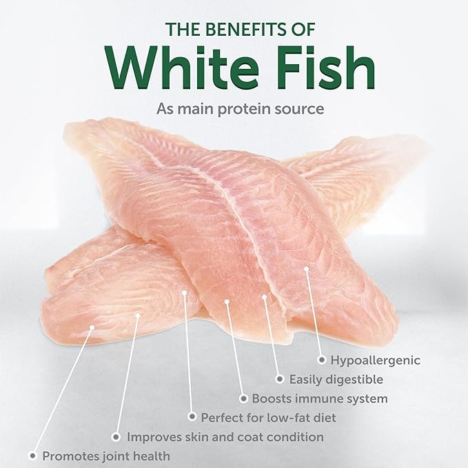 Nature's Protection Superior Care White Dogs Rice Based Dry Dog Food - High Protein, Tear Stain Dog Food for All Breeds Light Coated All Life Stages Dogs, Fresh Pet Meal, White Fish, 22 lb