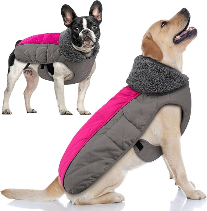 Doglay Dog Coat, Waterproof Dog Jacket Pet Winter Coat for Cold Weather with Thicken Furry Collar, Reflective Puppy Winter Jacket Warm Fleece Lining for Small Medium Large Pets