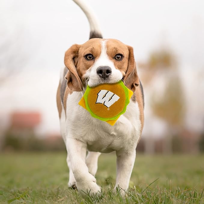 NCAA Wisconsin Badgers Cheeseburger Plush Dog & CAT Squeak Toy- Cutest Stadium Hamburger Snack Plush Toy for Dogs & Cats with Inner Squeaker & Beautiful Football/Basketball Team Name/Logo
