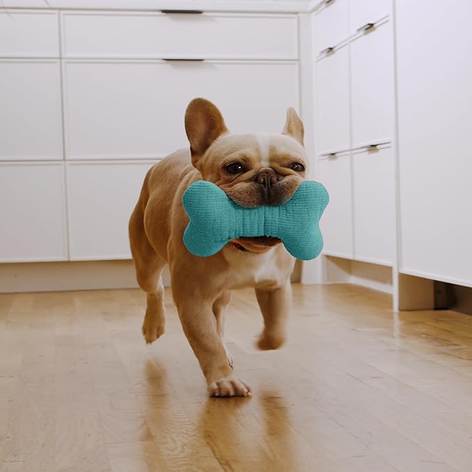 Playology Dog Toys | Plush Squeaky Bone Chew Toy for Dogs | Medium Peanut Butter Scented Toy - Easy to Clean and Made from Non Toxic Materials