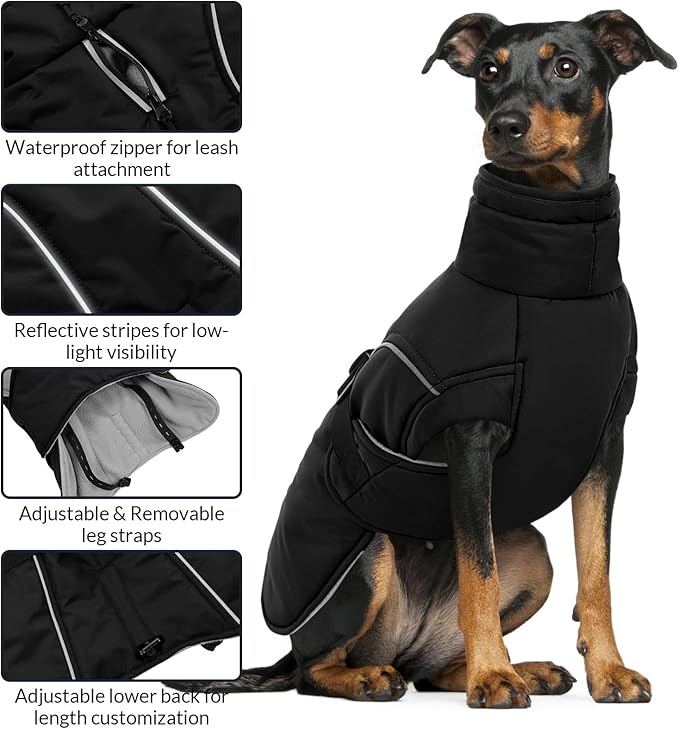 Queenmore Winter Dog Coat Warm Dog Jacket Vest Waterproof Puffer Fleece Snowsuit Adjustable Buckle Leash Hole Reflective Cold Weather Parka for Small Medium Large Dogs Girl Boy Black XXL
