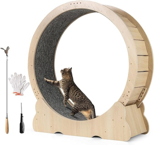 PETSITE 40 Inch Cat Exercise Wheel for Indoor Cats, Low Noise Cat Treadmill with Locking Mechanism, Carpeted Runway, and Teasing Toy