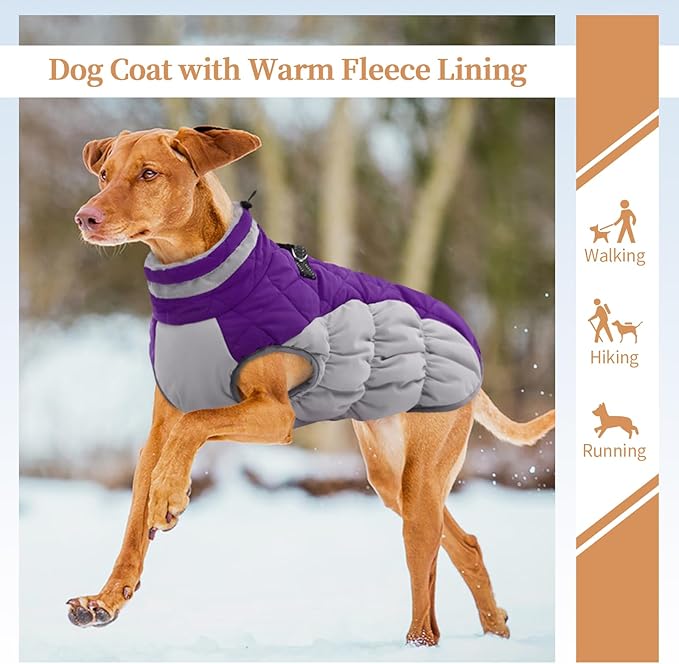 Winter Dog Coat,Large Dog Jacket,Waterproof Pet Jacket with Back Zipper,Pet Coat with Harness Built in,Warm Dogs Coat with Fleece Lined, Snow Jacket Clothes French Bulldog Shiba Inu,Purple,L