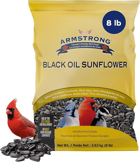 Black Oil Sunflower Bird Seed, 8 Pounds - for Northern Cardinals, Blue Jays and Hairy Woodpeckers - Ideal for Outside Feeders