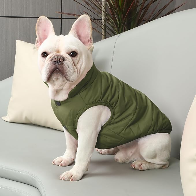 2 Layers Fleece Lined Warm Dog Jacket for Winter Cold Weather,Soft Windproof Medium Dog Coat,Green L