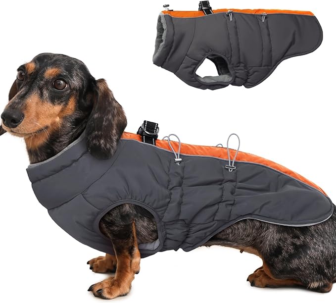 Dog Winter Jacket - Large, Warm Zip Up Snowsuit Dog Harness Vest, Reflective, Water-Resistant, Orange-Gray