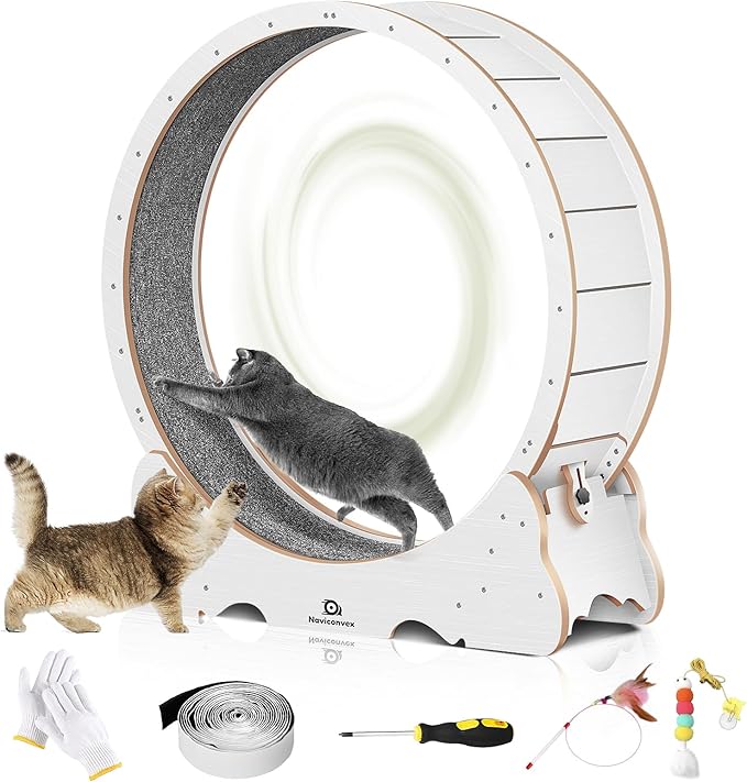 Cat Wheel, 48" XL Large Cats Exercise Running Wheel, Cat Treadmill for Indoor Cats