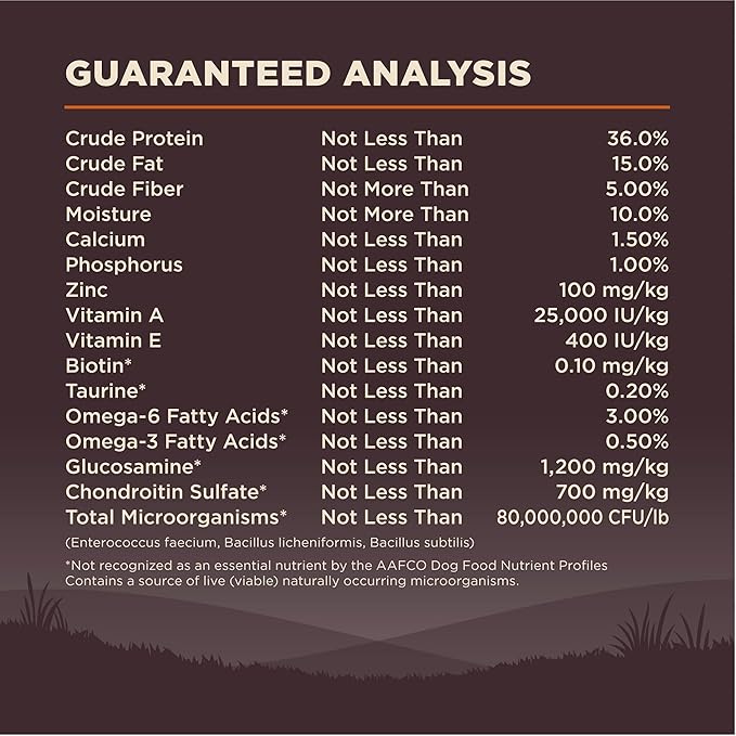 Wellness CORE Grain-Free High-Protein Small Breed Dry Dog Food, Natural Ingredients, Made in USA with Real Meat (Adult, Turkey, 4-Pound Bag)