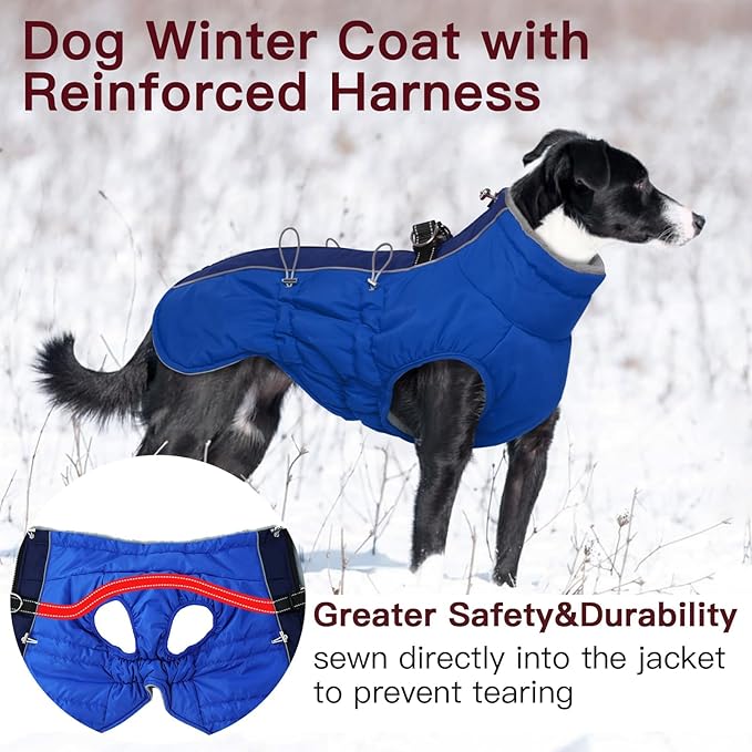Dog Coat Dog Winter Jacke- XX Large, Warm Zip Up Snowsuit Dog Harness Vest Reflective Water-Resistant Dog Coat Dog Snow Jacket for Large Dogs Border Collie, Pit Bull, Royal-Blue