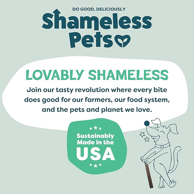 Shameless Pets Dental Chews for Dogs, Mighty Mint Dental Sticks, Healthy Treats for Teeth Cleaning & Fresh Breath - Dog Bones Dental Chews Free from Grain Corn & Soy, 8 Sticks