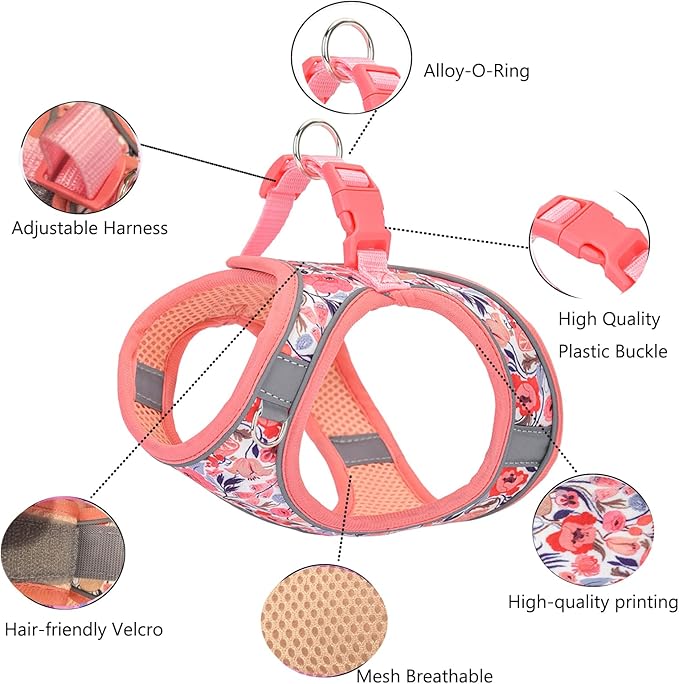 XS Dog Harness and Leash Set, Step in Dog Harness No Pull for Walking Running Training, Puppy Essentials for Dogs Cat Bunny, Adjustable Reflective Dog Vest Harness. (Orange, XS)
