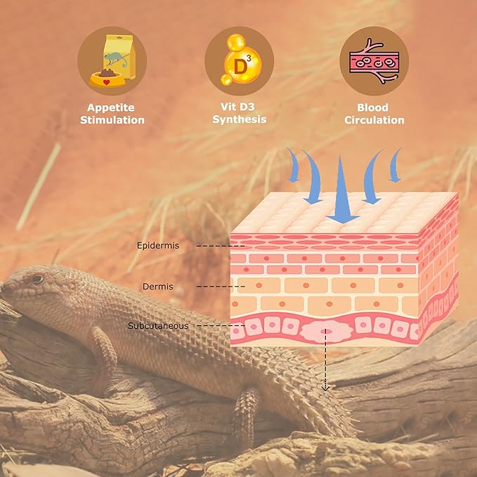 UVB 105.0 Reptile Light 13W, Compact Fluorescent Lamp，Coil UVB Desert Bulb–Lighting for Bearded Dragons, Lizards, Tortoises, Snakes, Geckos, Amphibians & Small Reptile Tanks