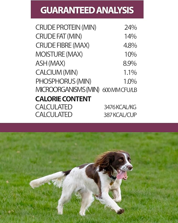 Pulsar Premium Whole Grain Dog Food | Pork Formula | All Life Stage, Non GMO, Meat Dense Diet | 25 lb Bag