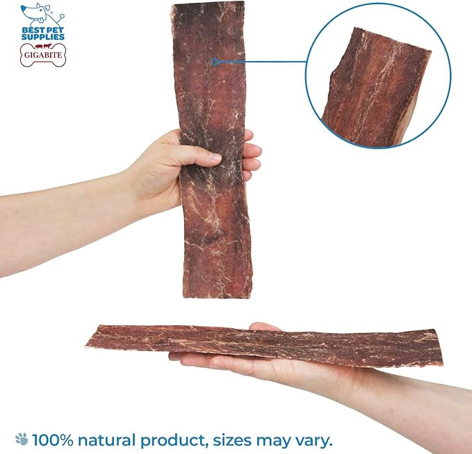 Best Pet Supplies GigaBite 12 Inch Beef Esophagus Dog Treat Strips by - Pack of 10, TES-12-10