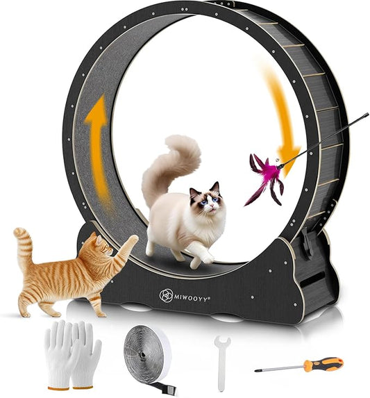 Large Cat Exercise Wheel 40 inch - Black Solid Wood Cat Wheel Exerciser for Indoor Cats, Safety Cat Treadmill with Lock & Minimized Gapdesign