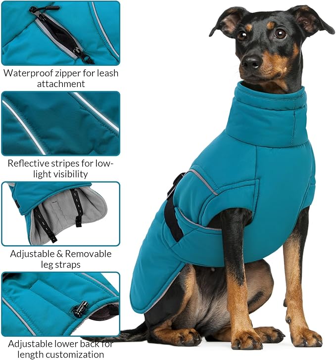 Queenmore Winter Dog Jacket, Waterproof Puffy Snowsuit, Adjustable Reflective Fleece Lining Warm Padding Parka for Cold Weather, Blue Large