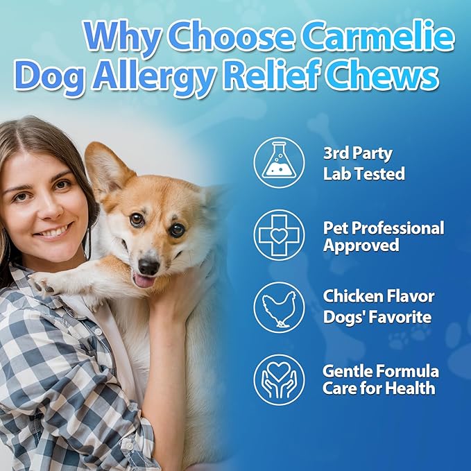 Dog Allergy Chews 200 Chews - Dog Itching Skin Relief Support - Omega 3 Probiotics for Dogs - Itchy & Paw Licking Relief, Seasonal Allergies, Skin & Coat Immunity Supplement - Chicken Flavor