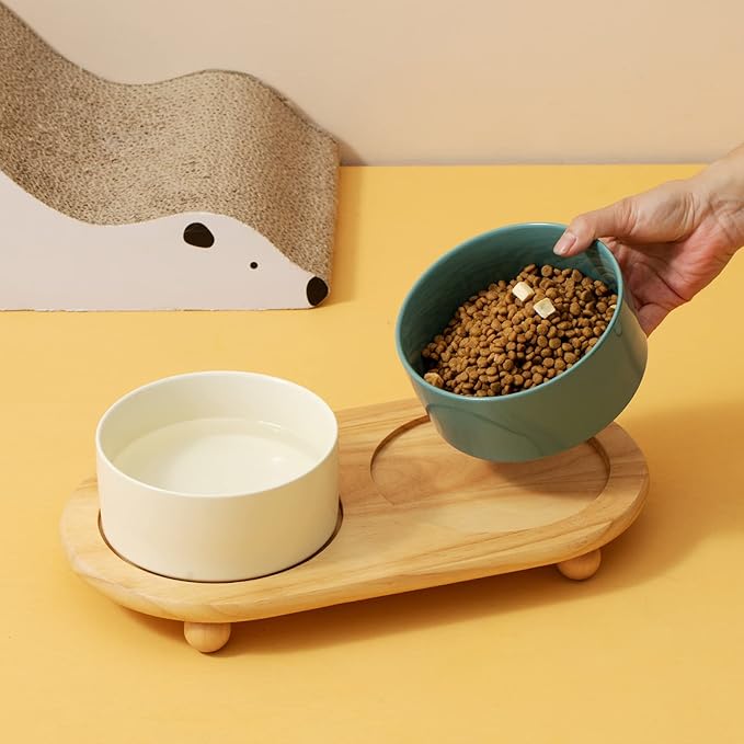 Ceramic Elevated Cat Food and Water Bowl, Kitty Bowl, Raised Cat Dish, Pet Feeder (5.1 in, 2 x Dark Green + Stand)
