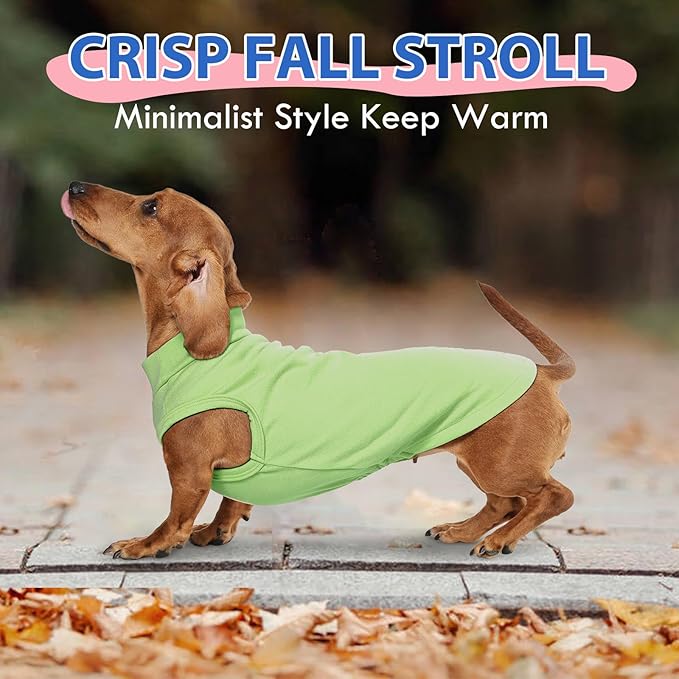 Dog Sweater Fleece Vest - Green, XS - Stretchable Sleeveless | Warm Lightweight Sweatershirt, Pullover Design for Puppy,Chihuahua Clothes,Winter Warm Pet Shirt