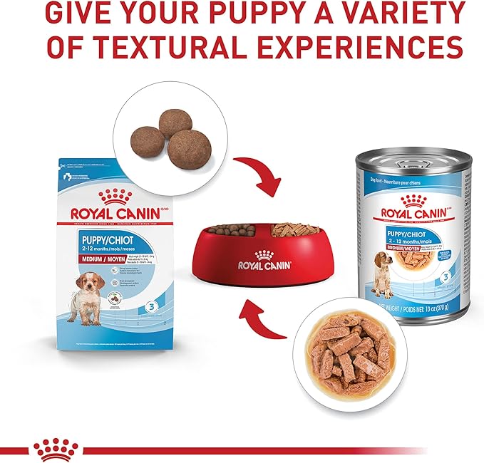 Royal Canin Size Health Nutrition Medium Puppy Thin Slices in Gravy Wet Dog Food, 13 oz can (12-count)