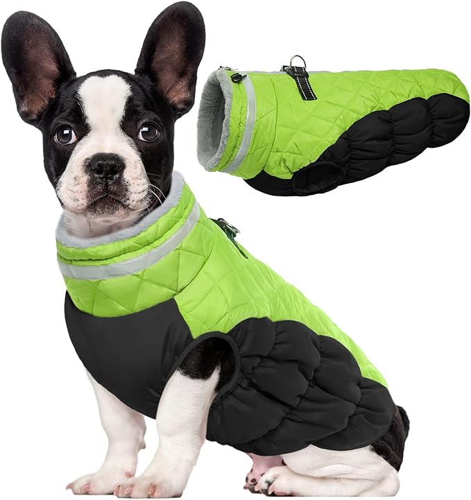 Lelepet Dog Coat Warm Dog Winter Coat Waterproof Dogs Jacket with Harness Built in Reflective Pet Fleece Vest Zip-Up Cold Weather Coats for Medium Dogs Turtleneck & Windproof Coats Dachshund Lime M