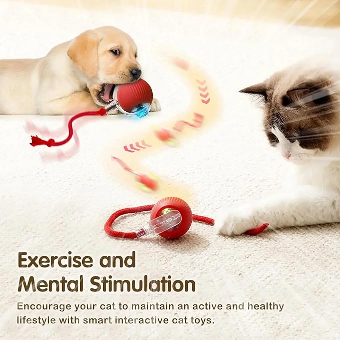Interactive Rolling Cat Ball Toy [RED], LED Lights, for Indoor Adult Cats, Rechargeable, Smart Automatic Pet Ball, Speedy Tail/Rope, Fast on Carpet, Only for Active Cats