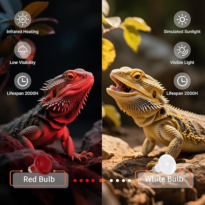 ALAMPEVER 2 Pack Red Heat Lamp Bulb, 75 Watt Infrared Light Bulb for Bearded Dragon, E26 Base, Durable Reptile Heat Bulb for Amphibian, Lizard, Tortoise, Gecko