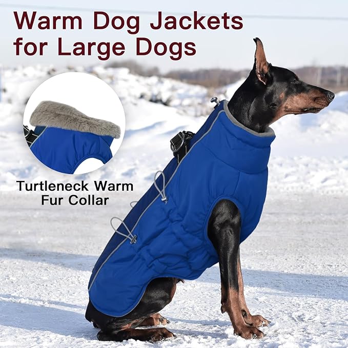 Dog Coat - Warm Zip Up Snowsuit for Large Dogs, Reflective, Water-Resistant, Royal-Blue