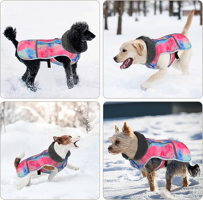 Doglay Dog Coat, Waterproof Dog Jacket Pet Winter Coat for Cold Weather with Thicken Furry Collar, Reflective Puppy Winter Jacket Warm Fleece Lining for Small Medium Large Pets