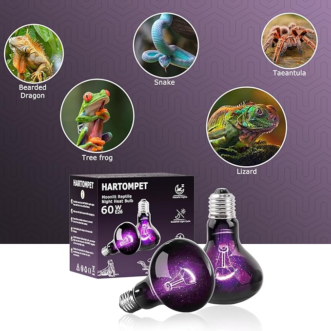 60W Reptile Night Light Bulb, UVA Heat Lamp - Simulate Natural Moonlight, Purple Basking Lamp for Bearded Dragon, Lizard, Snake, Chameleon & Amphibians, Ideal for Aquariums Tanks|Pack of 2