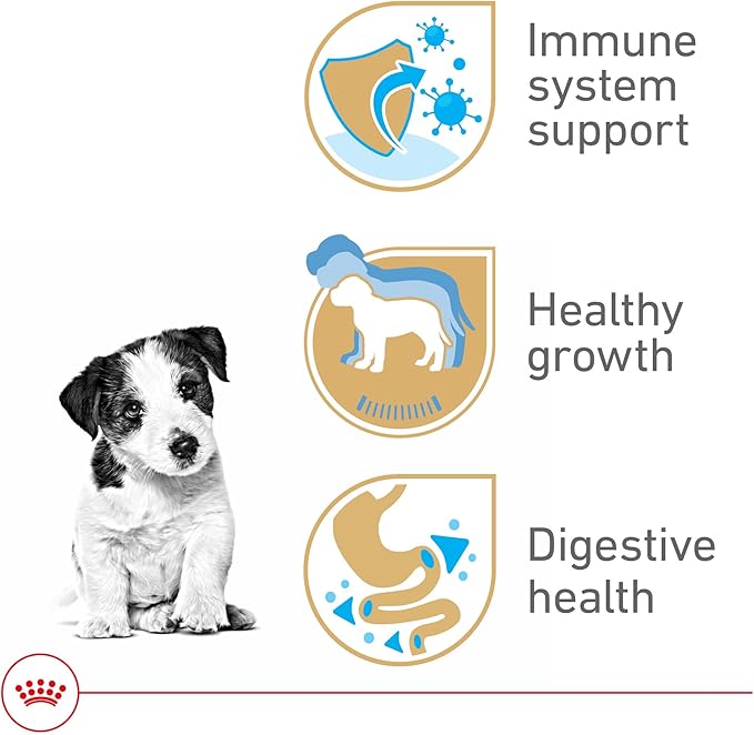 Royal Canin Breed Health Nutrition Jack Russell Terrier Puppy Dry Dog Food, 3 lb Bag