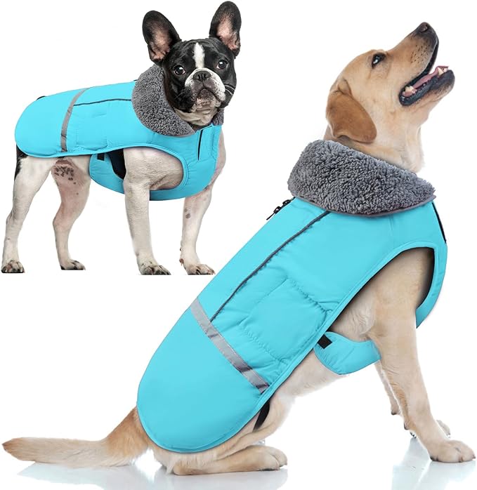 Doglay Dog Coat, Waterproof Dog Jacket Pet Winter Coat for Cold Weather with Thicken Furry Collar, Reflective Puppy Winter Jacket Warm Fleece Lining for Small Medium Large Pets