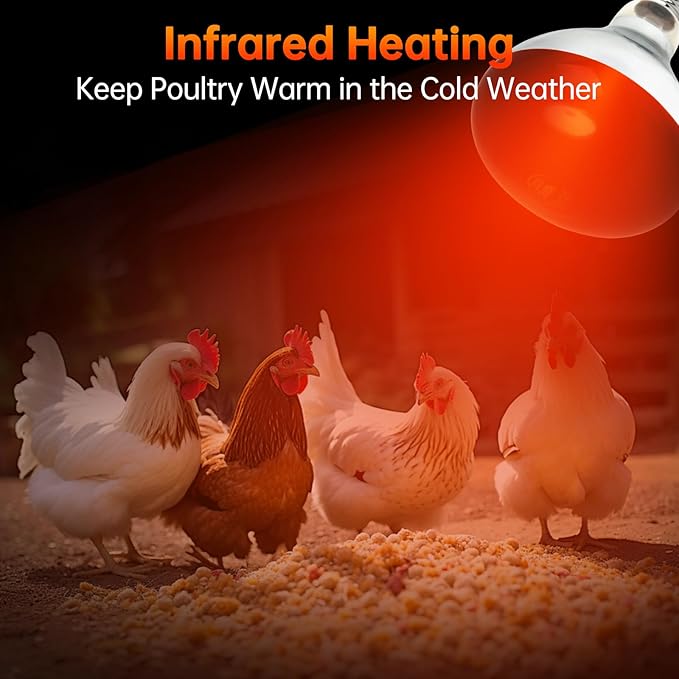 LUCKY HERP Heat Lamp for Chickens, 250 Watt Red Heat Lamp Bulbs, Infrared Heat Lamp for Chickens, Chicks, Reptile, Pets, Brooder Coop, Poultry (2 Pack)
