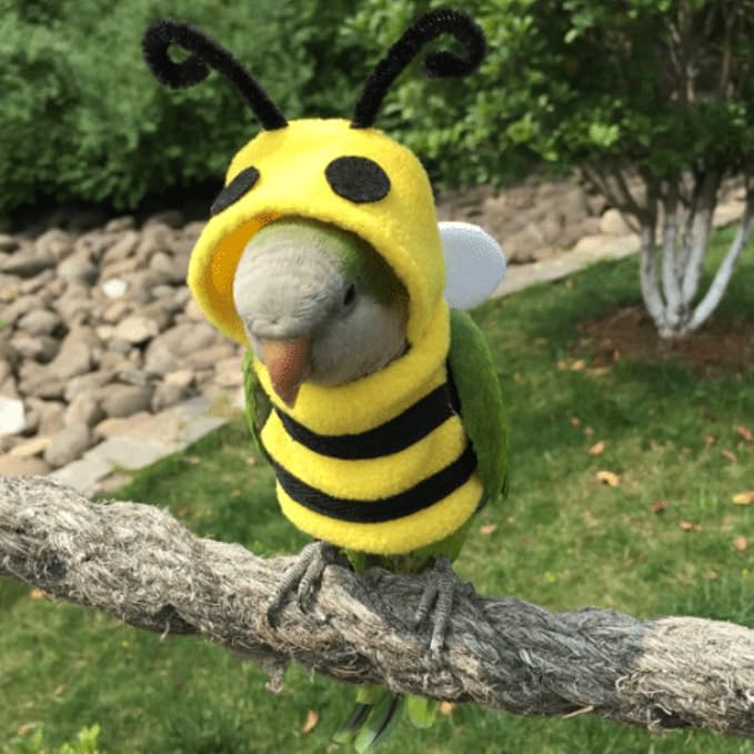 Bird Costume Diaper Flight Suit Bee Shape Clothes Cosplay Photo Prop for Parrots Lovebird Budgie Parakeet Cockatiel Sun Conure, Small Animals Apparel (Bee Without Diaper, Medium), Green (BPF1)