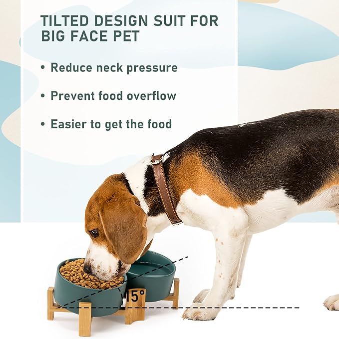 SPUNKYJUNKY 15° Slanted Ceramic Dog and Cat Bowl with Wooden Stand, Tilted Bulldog Food and Water Bowl No Slip Non-Spill for Cats Medium Dogs Big Face Pets 28.7 OZ (3.6 Cups, Green × 2)