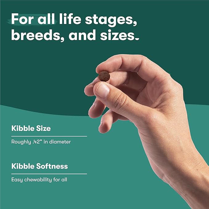 Jinx Premium Grain-Free Dry Dog Food, for All Lifestages - Real Chicken, Sweet Potato & Carrot Kibble with Superfoods for Immune Support & Probiotics for Digestive Support - No Fillers - 11.5lb