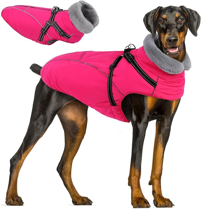 Queenmore Large Dog Coat, Dog Jacket for Extra Large Dogs with Harness Built in, Reflective Waterproof Dogs Jackets with Fleece Lining,Warm Snowsuit Pet Sweater for Doberman,Labrador,Rose Red,XXL