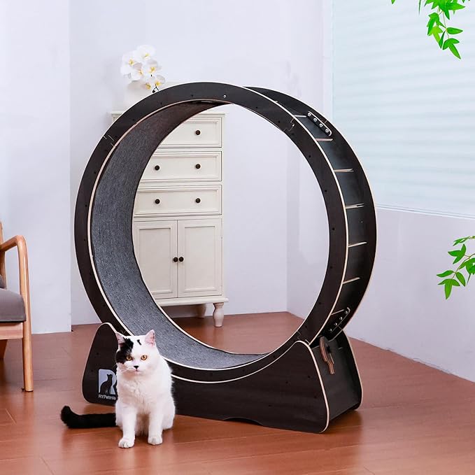 43 Inch Large Cat Exercise Wheel for Indoor Cats, Silent Treadmill, Non-Tip Design, Safe & Quiet Cat Running Wheel, Easy to Assemble, Supports Cats Up to 55 lbs (Black)