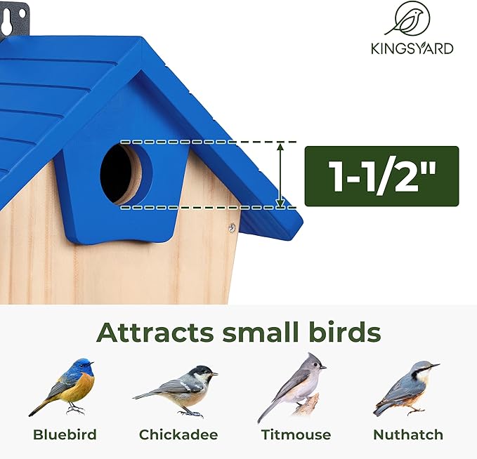 Kingsyard Blue Bird House for Outside - Cedar Wood Nesting Box with Clear View Panel & Predator Guard for Bluebird Wren Cardinal Swallow Finch, Royal Blue