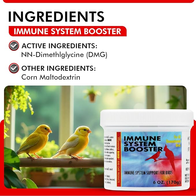 Morning Bird Immune System Booster 6 Oz - Energy Supplement for Birds – Natural Amino Acid Powder – Boosts Stamina, Cellular Health & Oxygen Use – Vitamin Powder for All Bird Species