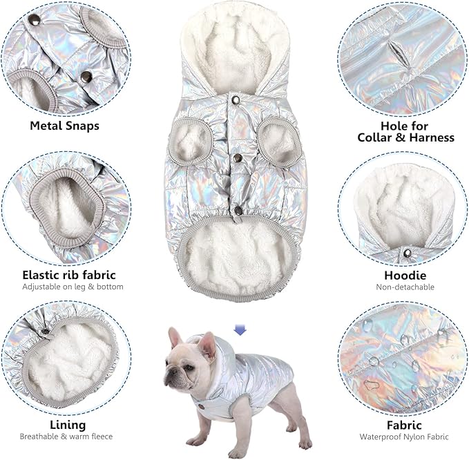 Windproof Waterproof Dog Coat - Fleece & Cotton Lined Warm Jacket, Cold Weather Pet Apparel for Small to Large Dogs (XS, Silver)