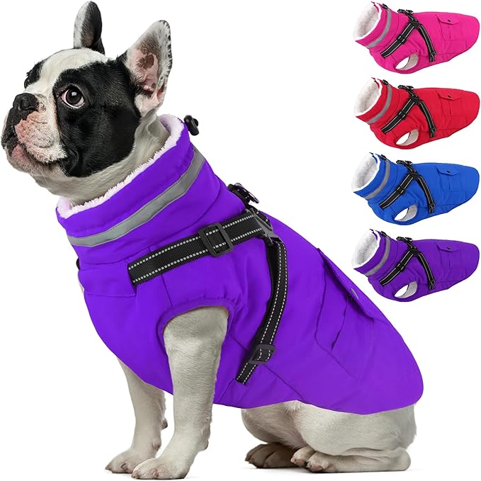 Dogcheer Dog Coat with Harness, Waterproof Dog Jacket Christmas Puppy Winter Coat with Pockets, Reflective Doggy Winter Jacket Soft Pet Snow Jacket for Small Medium Large Dogs - Purple, XS