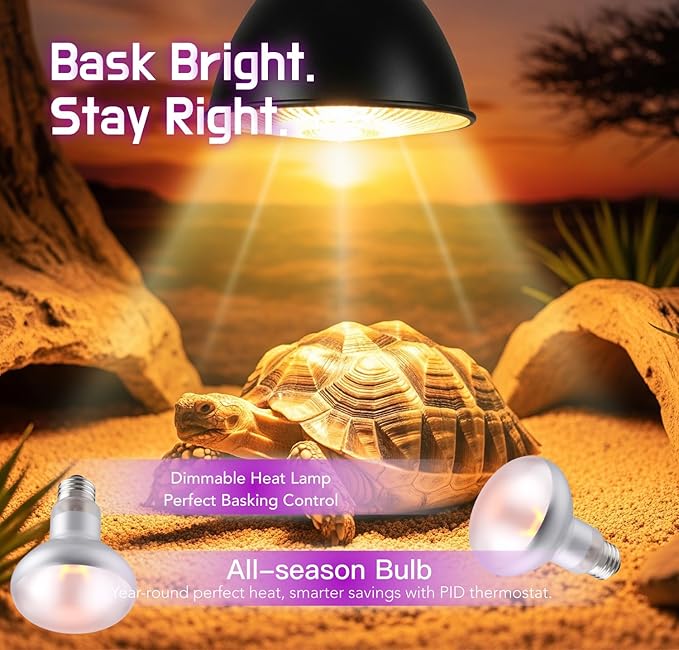 Reptile Heat Lamp, 100W 2-Pack Incandescent Basking Spotlight Bulbs for Reptiles Terrarium Tanks, Reptile Heat Bulb for Infrared Light, Bearded Dragon Heat Bulbs (100W)