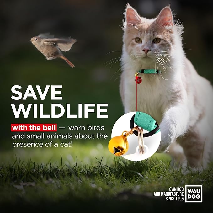 Leather Cat Collar with Bell & Elastic Strap - Pet Collar Leather - Leather Kitten Collar - Cats Small and Big Cat Collar for Boy Cats, Girl Cats with Safety Elastic Strap (Mint, 6" - 8")