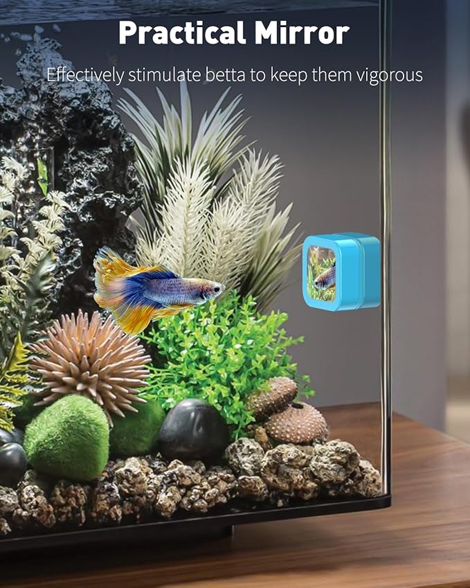 Pawfly Magnetic Aquarium Glass Cleaner Fish Tank Magnetic Brush with Mirror, 1.5 Inch Mini Fish Tank Glass Cleaner Cleaning Tool for 2/5 Inch Thick Aquarium up to 10 Gallons (Non-Floatable)