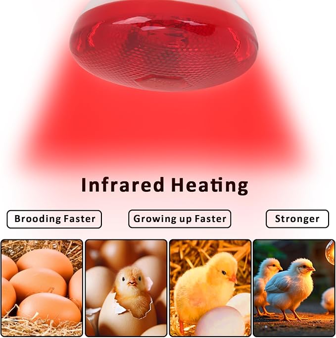 Aiicioo Infrared Heat Lamp Bulb 250W Red Infrared Heat Bulb for Chickens Reptile Heat Light Bulb for Brooder Coop Chicks Pet Reptile Amphibians Par38 Glass E26 Base
