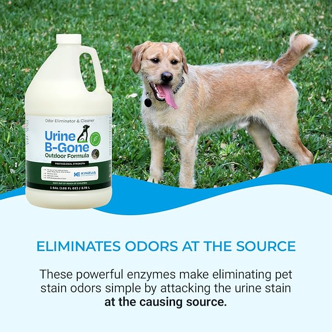 KINZUA ENVIRONMENTAL Urine B-Gone-OD Professional Pet Urine Enzyme Cleaner, Pet Yard Odor Eliminator for Artificial Grass, Concrete & More, 1 Gallon