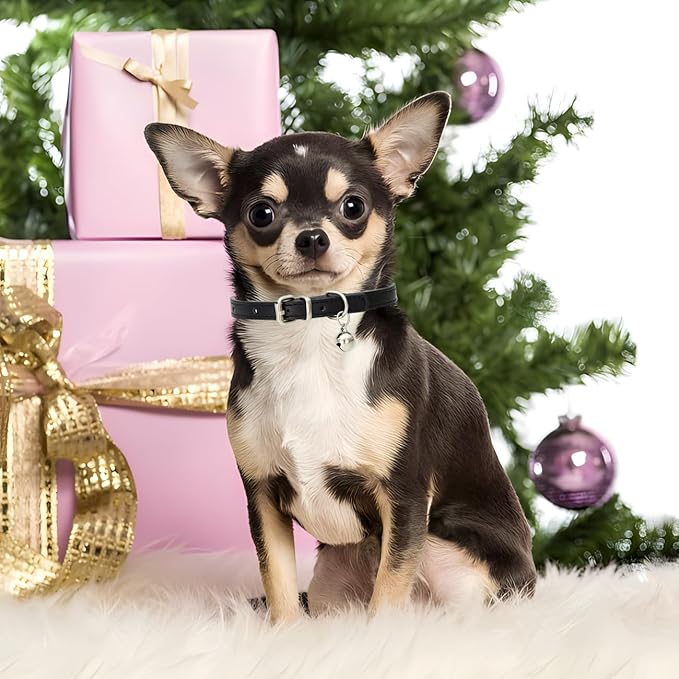 Brown Kitten Collar with Bell, Soft Pu Leather Small Dog Collars Adjustable Buckle for XXS XS Extra Small Medium Tiny Female Male Boys Girls Pets Puppy Cats Teacup Yorkie XX-Small